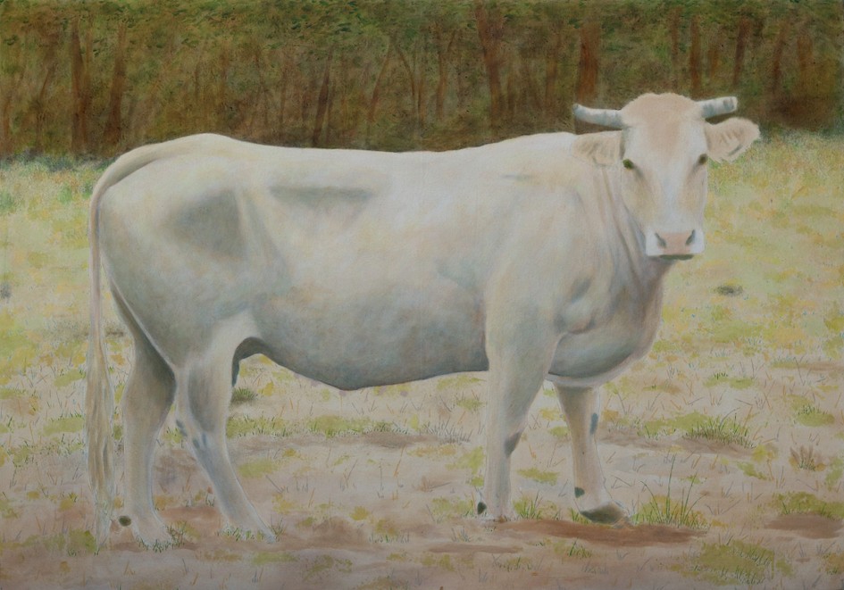 No. 5080 as an Odalisque